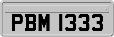 PBM1333