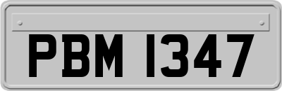 PBM1347