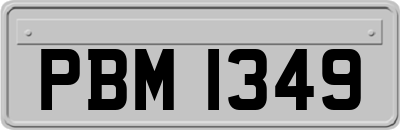 PBM1349