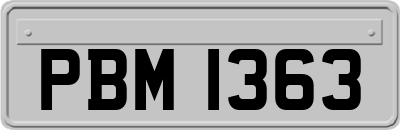 PBM1363