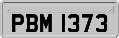 PBM1373