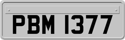 PBM1377