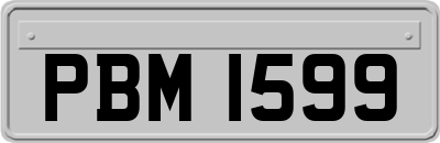 PBM1599