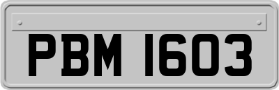 PBM1603