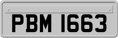 PBM1663