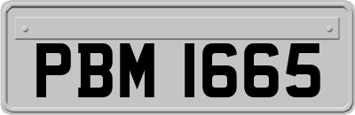 PBM1665