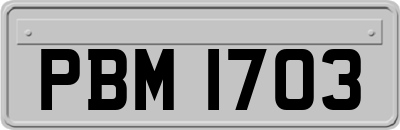 PBM1703