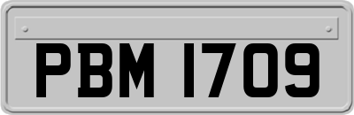 PBM1709