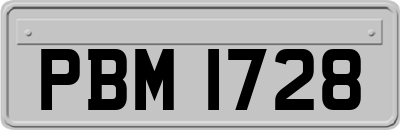 PBM1728