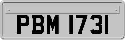 PBM1731