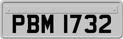 PBM1732