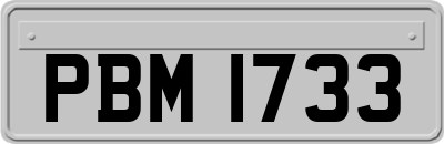 PBM1733