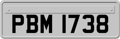 PBM1738