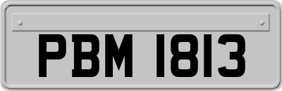 PBM1813