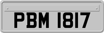 PBM1817