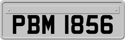 PBM1856