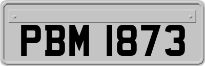 PBM1873