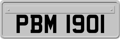 PBM1901