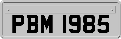 PBM1985