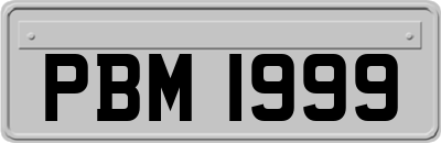 PBM1999