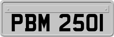 PBM2501