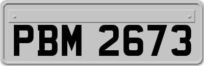 PBM2673