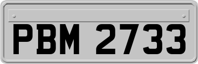 PBM2733