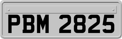 PBM2825