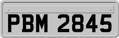 PBM2845