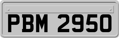 PBM2950