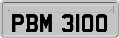 PBM3100