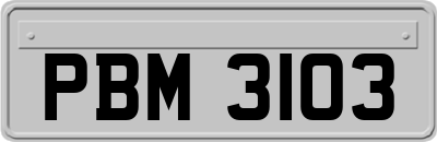 PBM3103