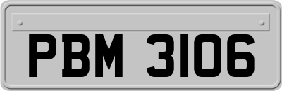 PBM3106