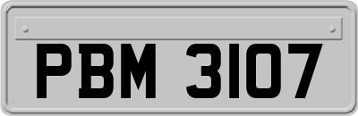 PBM3107