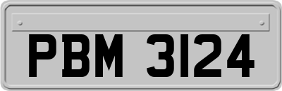 PBM3124