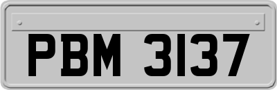 PBM3137