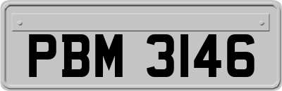 PBM3146