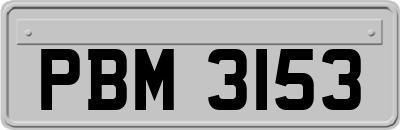 PBM3153