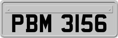 PBM3156