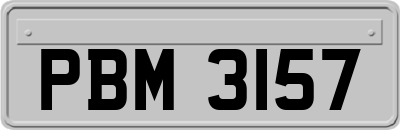 PBM3157