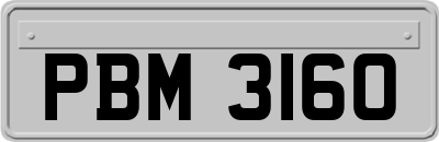 PBM3160