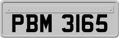 PBM3165