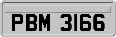 PBM3166