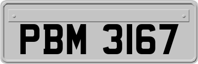 PBM3167