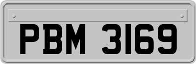 PBM3169