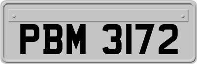 PBM3172