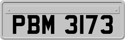 PBM3173