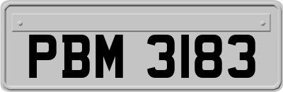 PBM3183