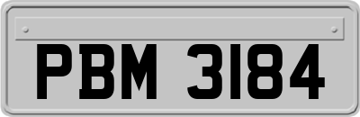 PBM3184