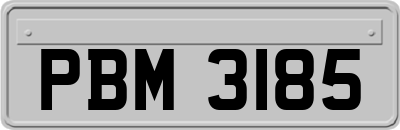 PBM3185